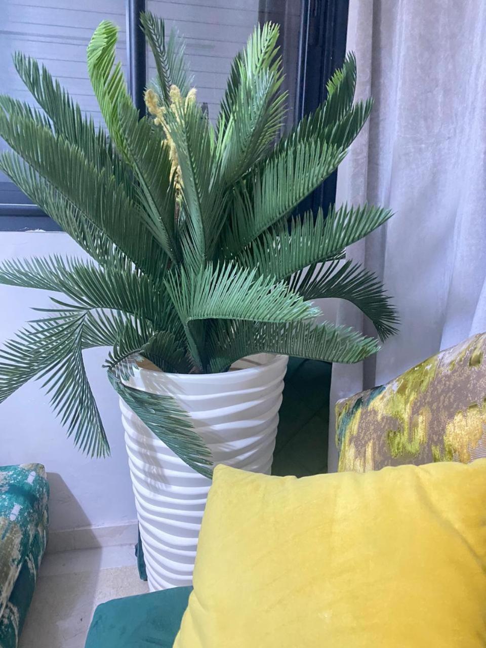 Cosy & Magnifique Appartement Marrakech Marraquexe Exterior foto